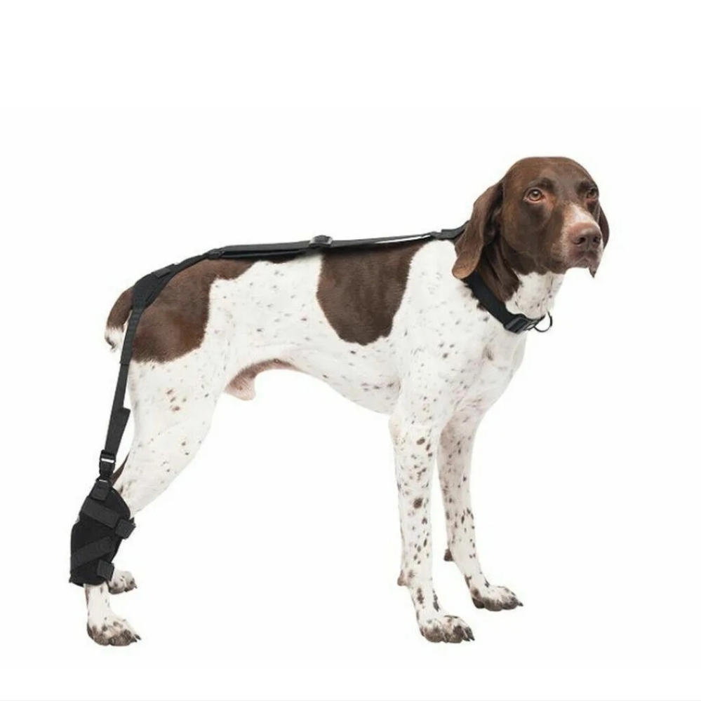 Caldera Hot & Cold Tarsal Pet Therapy Wrap w/ Therapy Gel Medium PET206